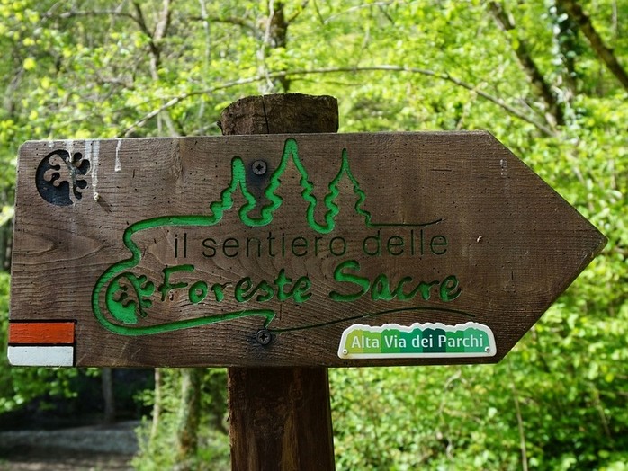 The paths of the Casentino Valley from Belvedere Farm - Agriturismo ...