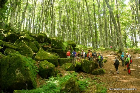 Montagne Casentinesi-004.jpg
