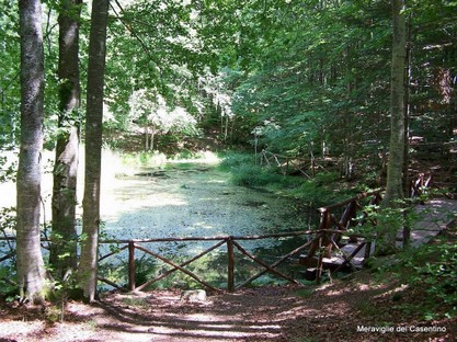 Montagne Casentinesi-021.jpg